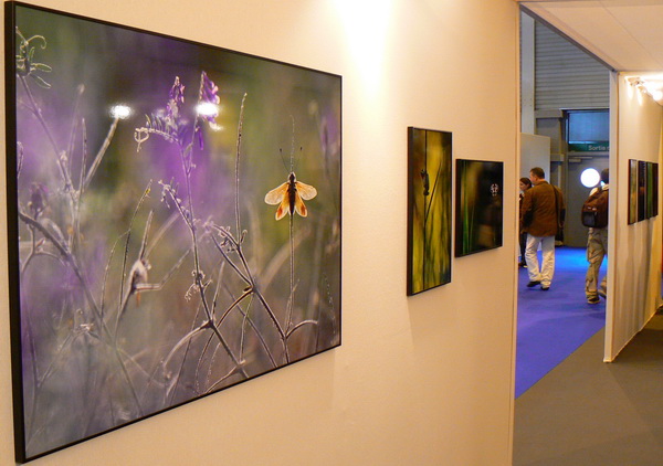 Zoom 2011 Emmanuel Boitier expo